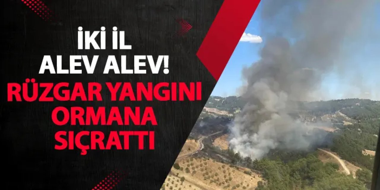 İki il alev alev! Rüzgar yangını ormana sıçrattı