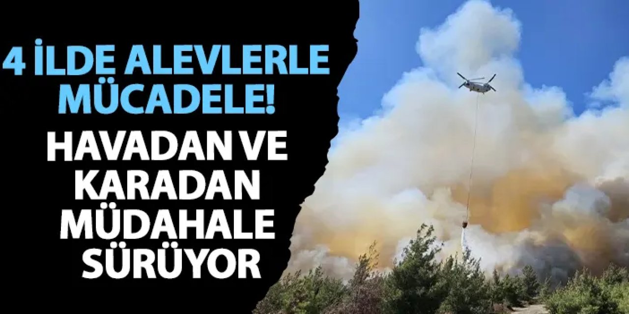 4 ilde alevlerle mücadele! Havadan ve karadan müdahale ediliyor