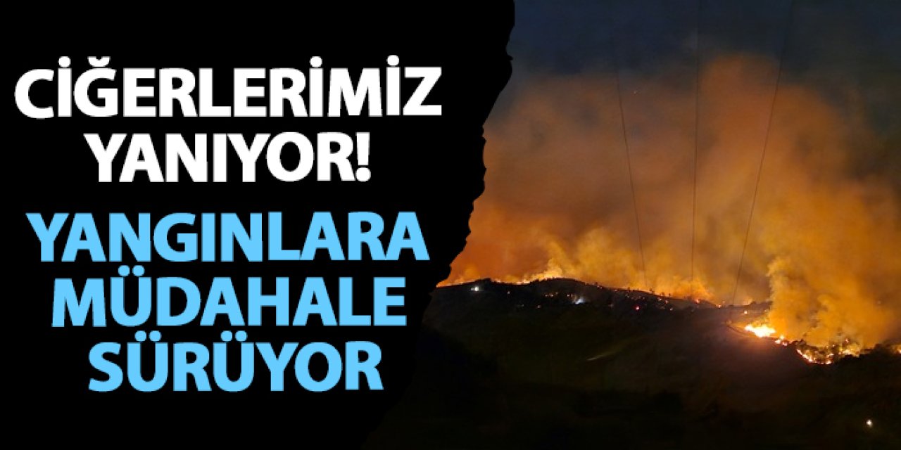 Ciğerlerimiz yanıyor! Yangınlara müdahale sürüyor