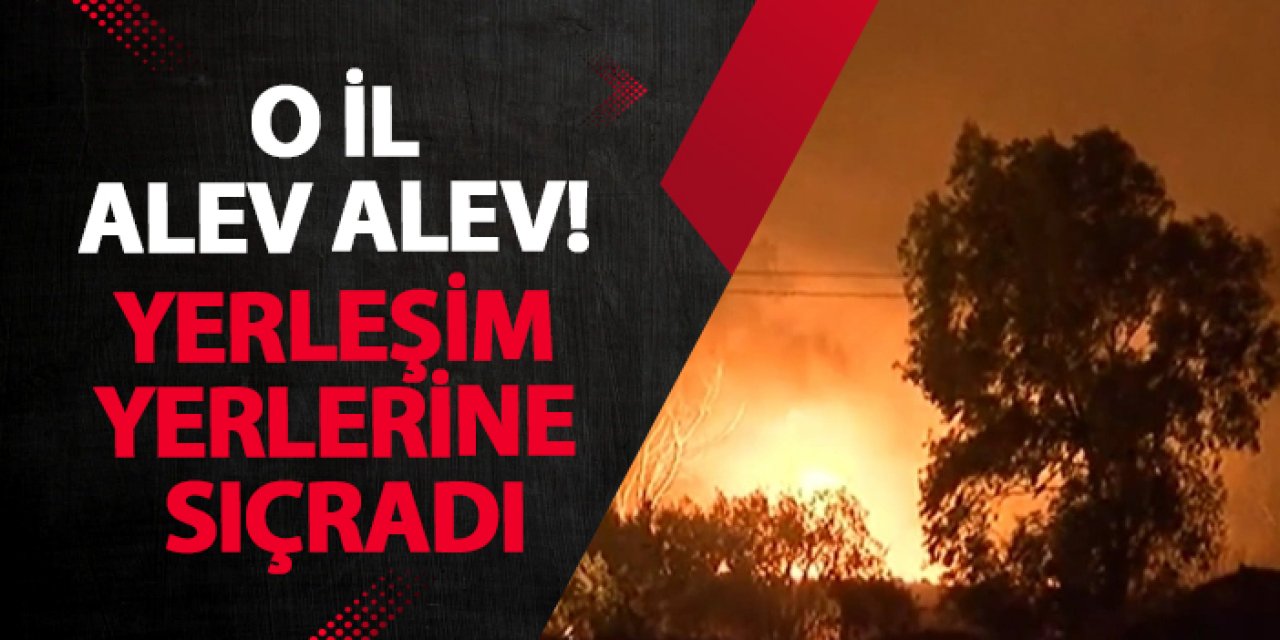 İzmir alev alev! Yerleşim yerlerine sıçradı