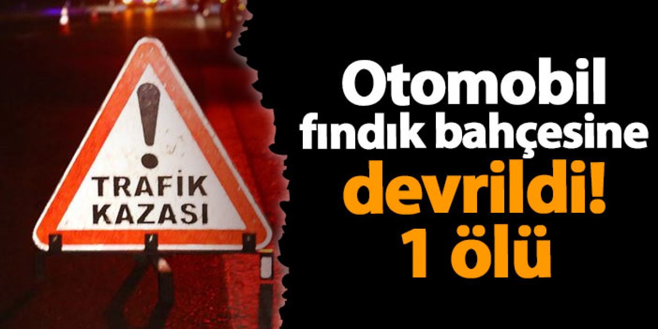 Giresun'da otomobil fındık bahçesine devrildi! 1 ölü