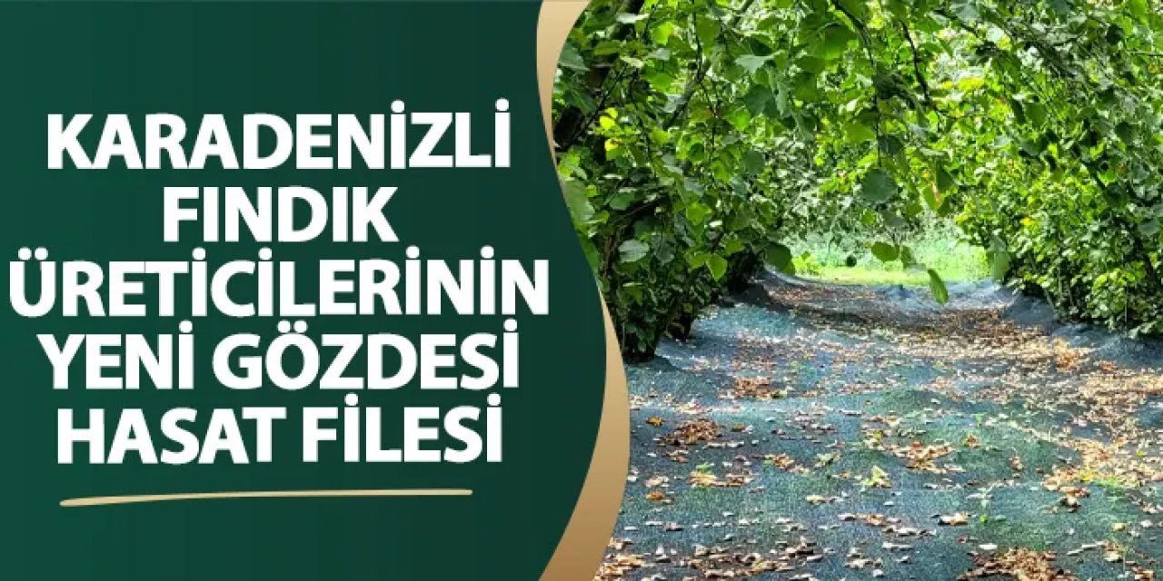 Samsun’da fındık üreticilerinin yeni gözdesi hasat filesi