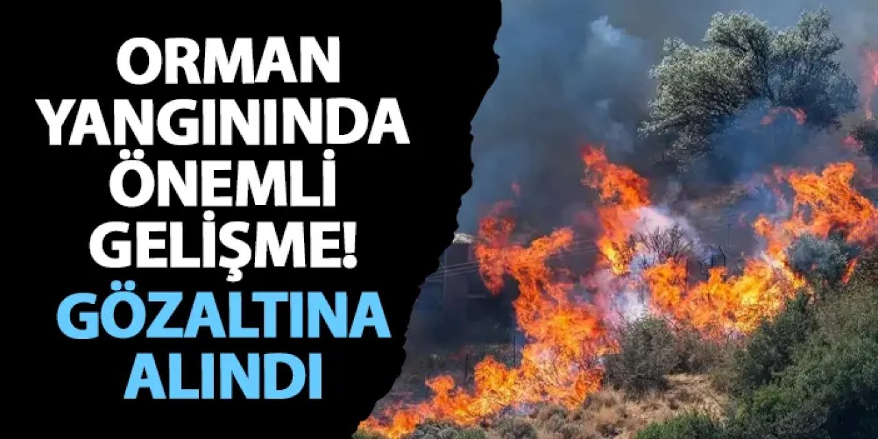 İzmir’deki orman yangınında önemli gelişme! Gözaltına alındı