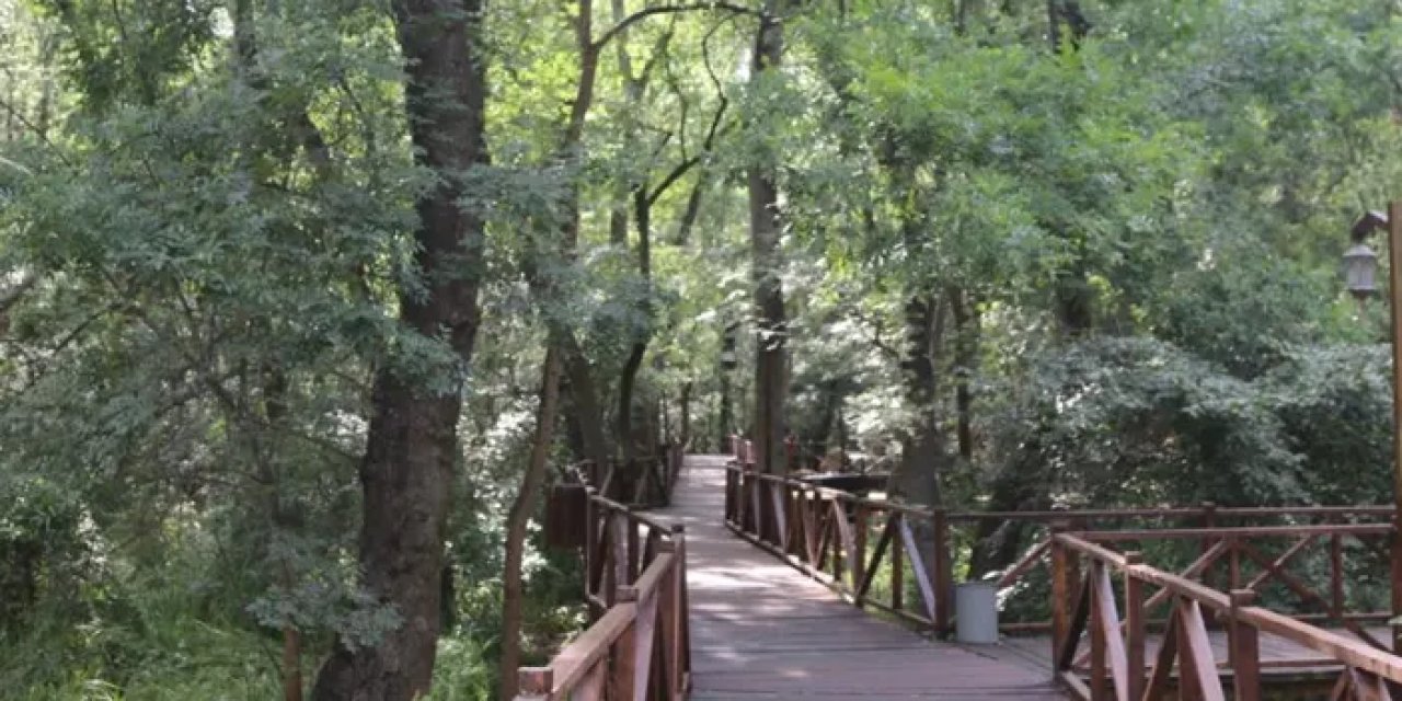 Samsun Çakırlar Korosu yeni çehre kazandı