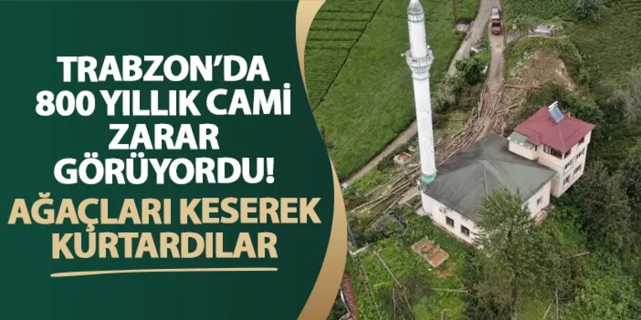 Trabzon’da 800 yıllık cami zarar görüyordu! Ağaçları keserek kurtardılar