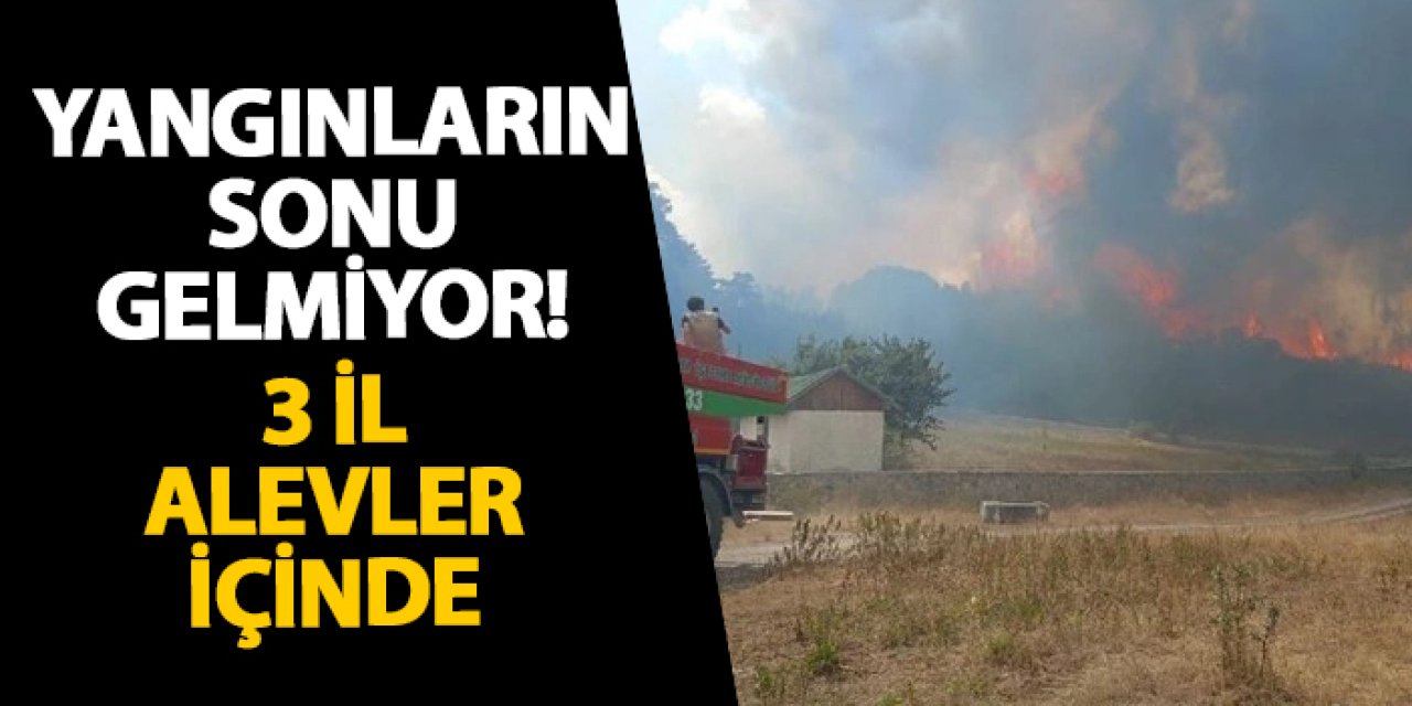 Yangınların sonu gelmiyor! 3 il alevler içinde