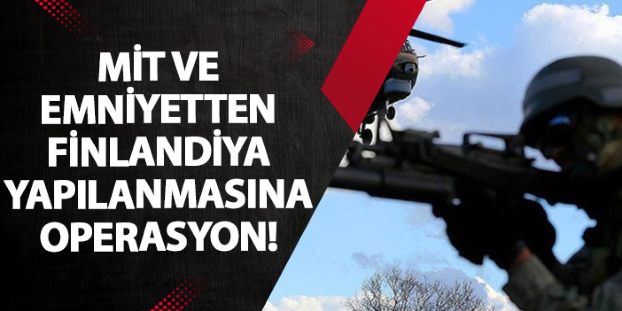 MİT ve emniyetten Finlandiya yapılanmasına operasyon!