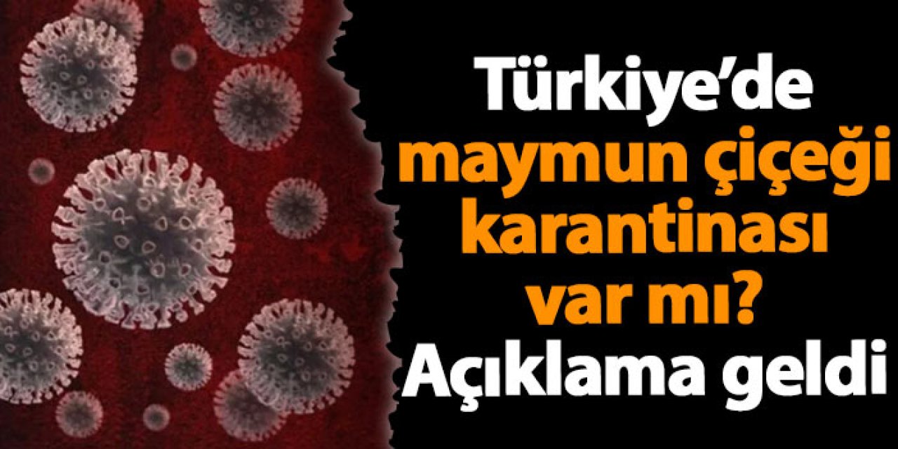 Türkiye'de maymun çiçeği karantinası var iddialarına yönelik açıklama geldi!