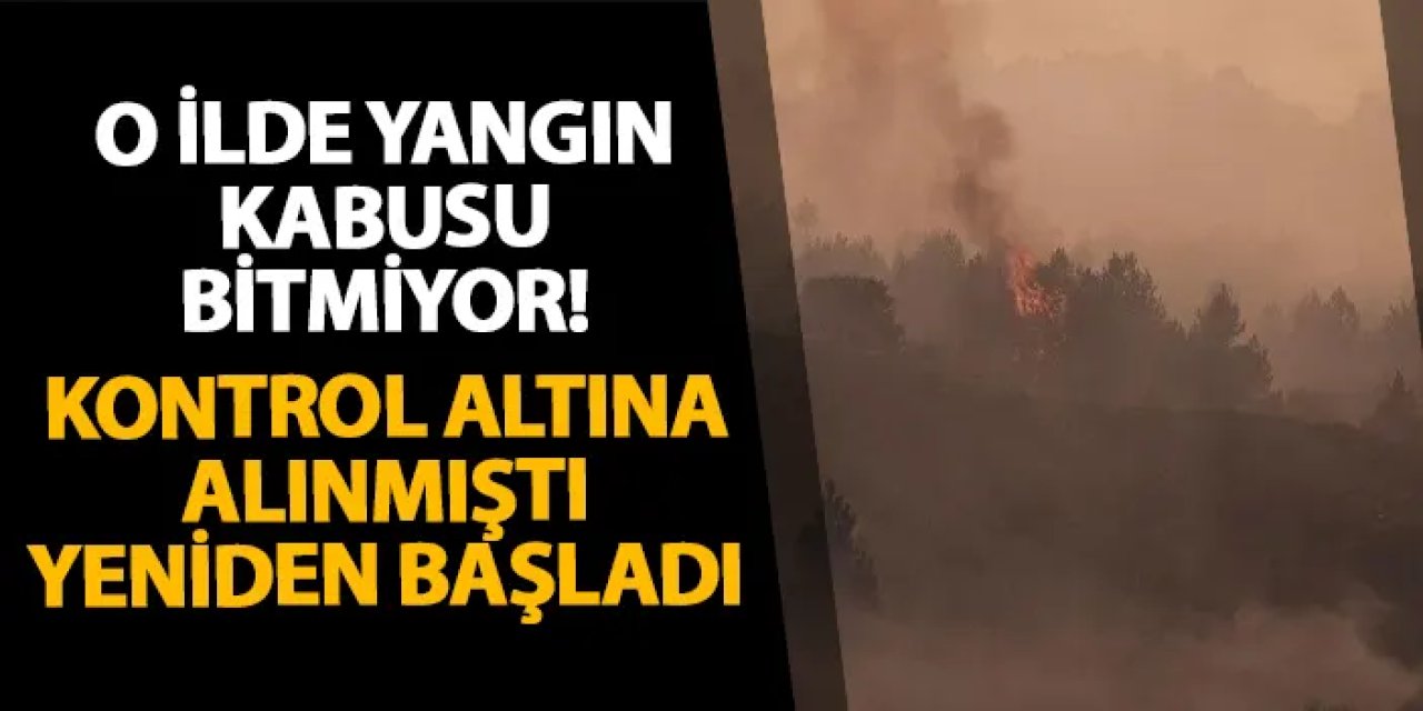 Bolu’da yangın kabusu bitmiyor! Kontrol altına alınmıştı yeniden başladı