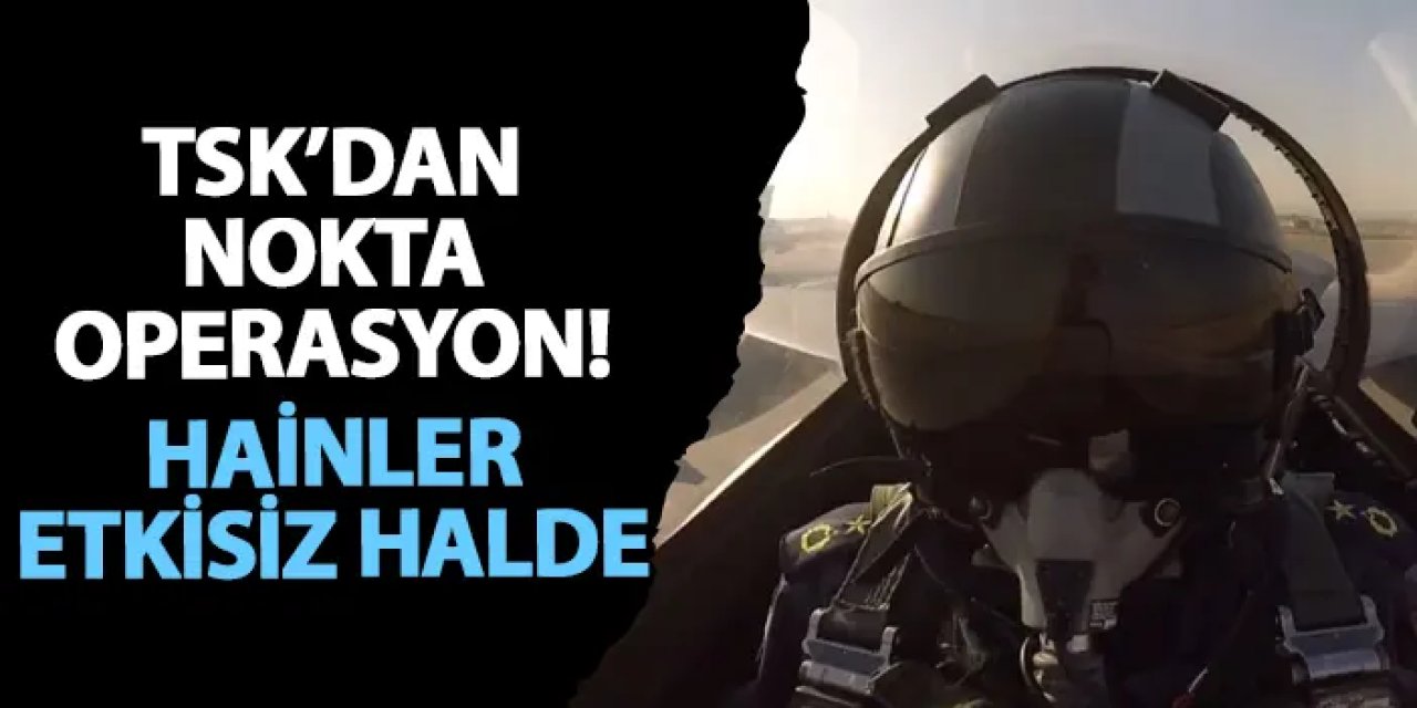 TSK’dan nokta operasyon! Hainler etkisiz halde