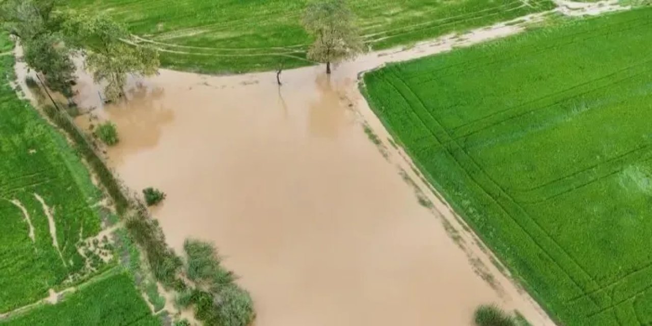 Samsun’da Bafra Ovası’nda tarım arazileri sular altında