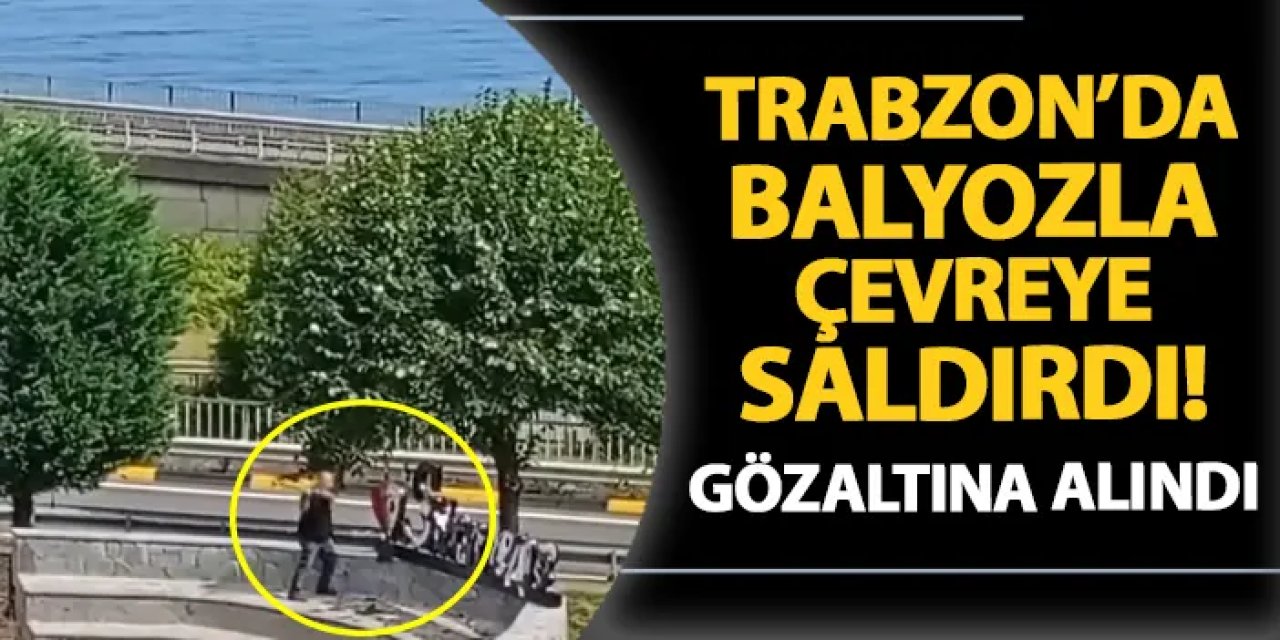 Trabzon'da balyozla çevreye saldırdı! Gözaltına alındı