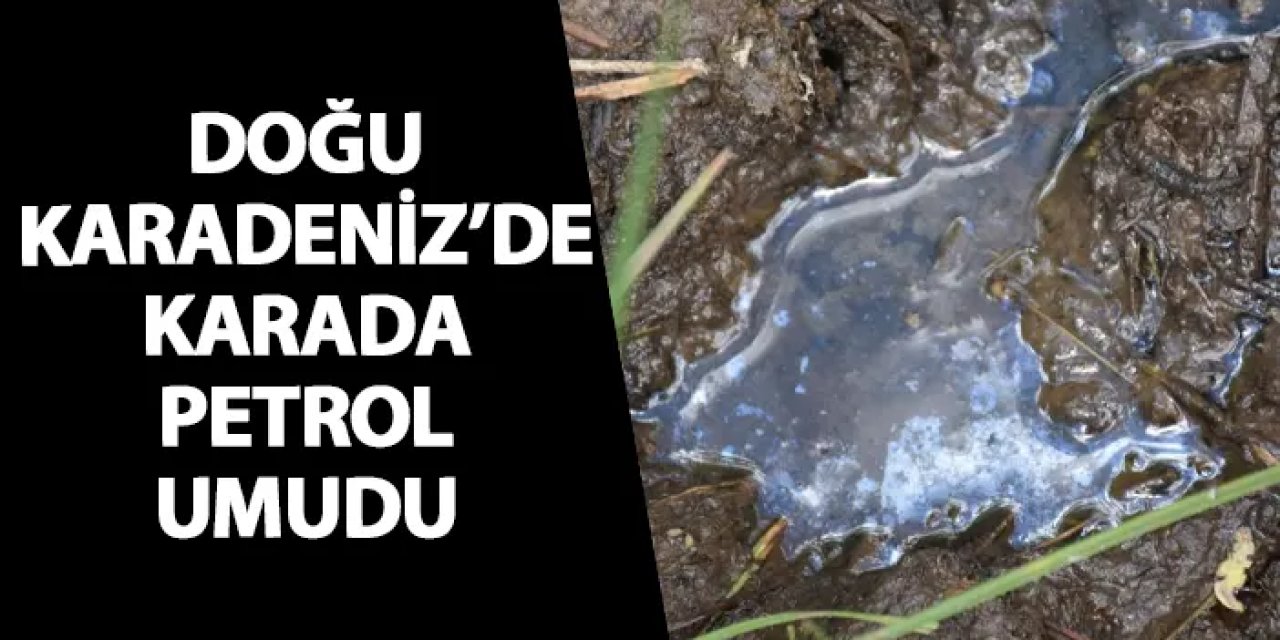 Doğu Karadeniz’de karada petrol umudu