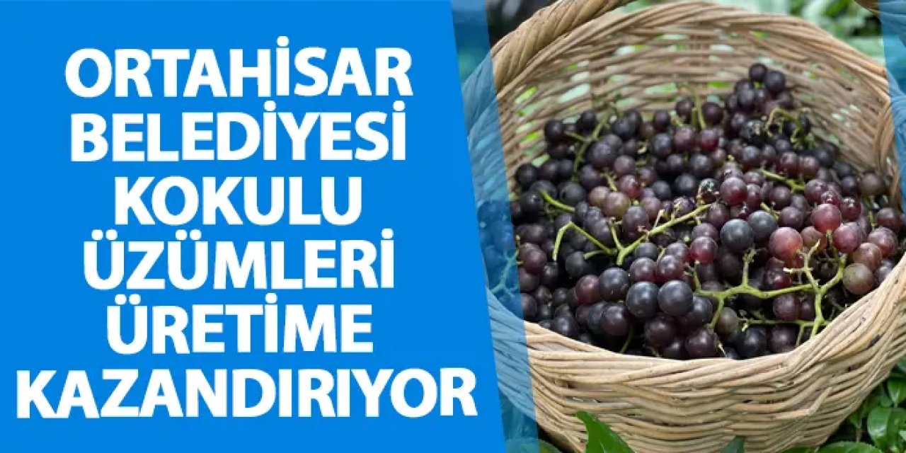 Ortahisar Belediyesi kokulu üzümleri üretime kazandırıyor