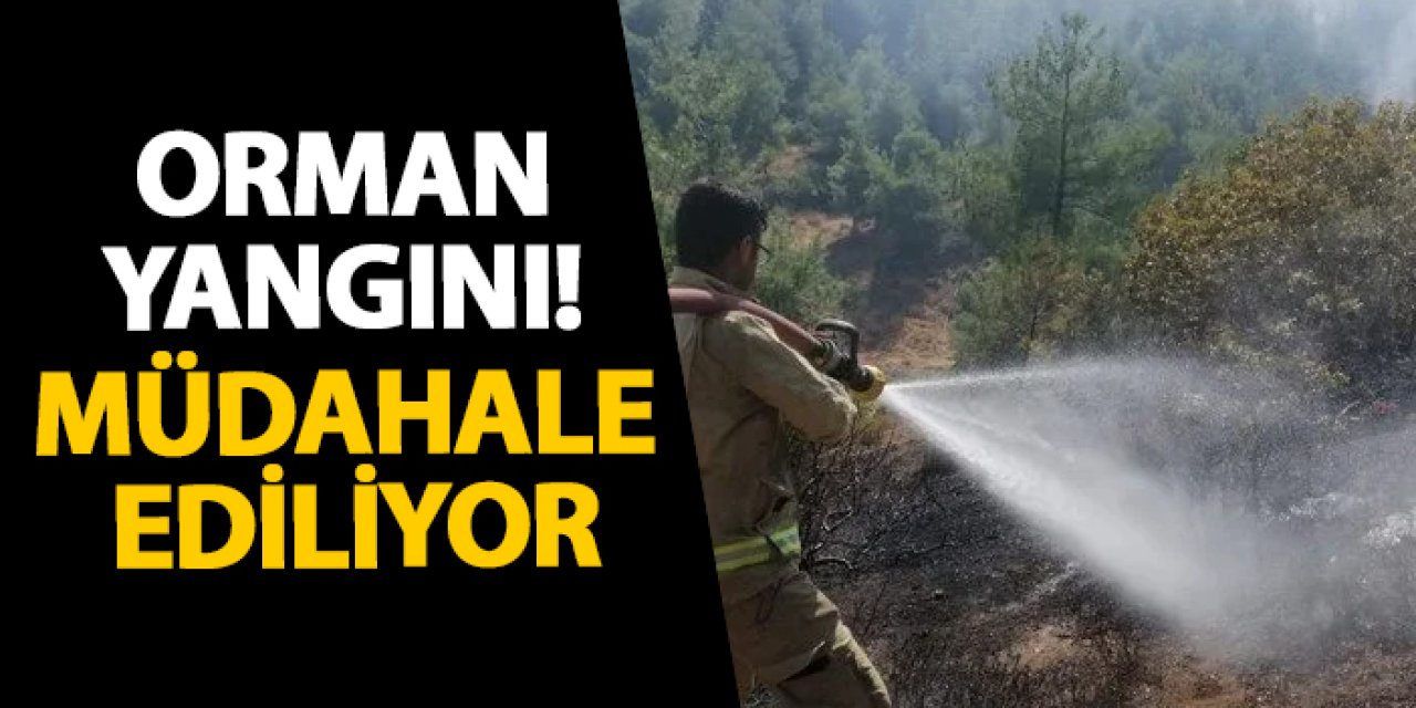 Kahramanmaraş’ta orman yangını! Müdahale ediliyor