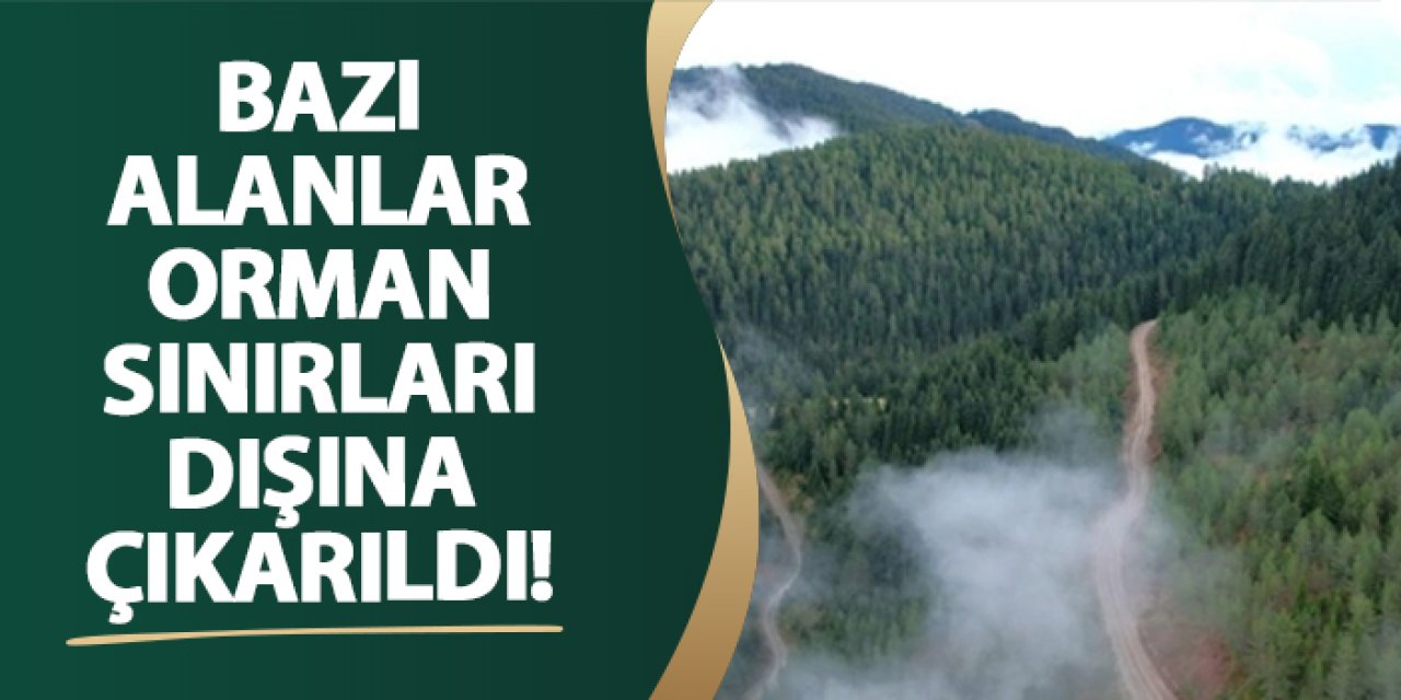 İzmir’de bazı alanlar orman sınırları dışına çıkarıldı!