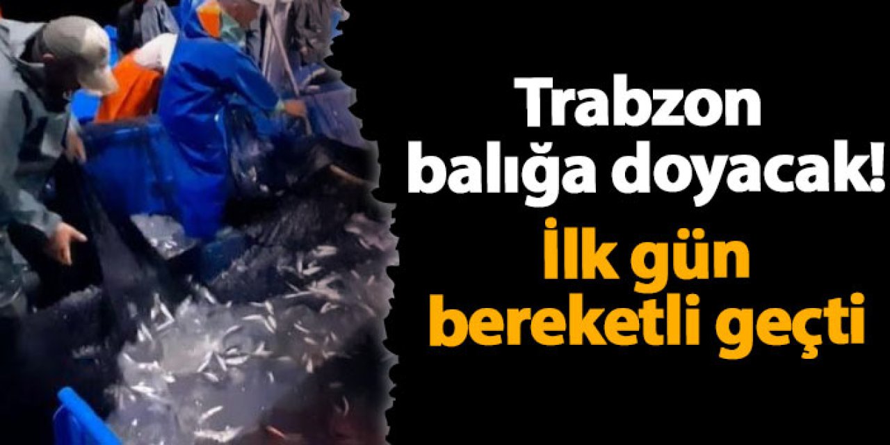 Trabzon balığa doyacak! İlk gün bereketli geçti