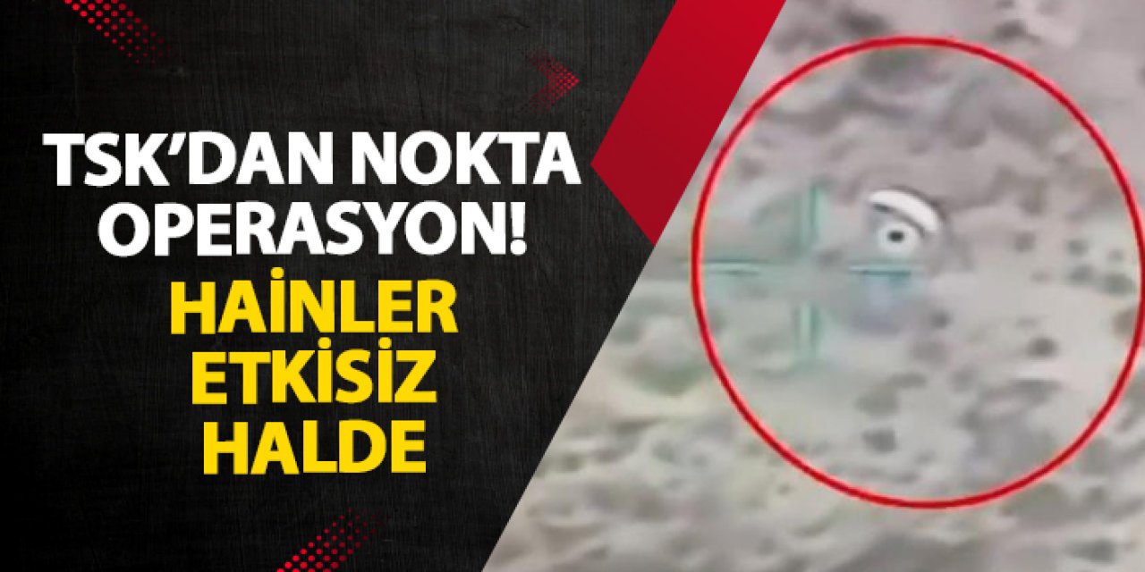 TSK’dan nokta operasyon! Hainler etkisiz halde