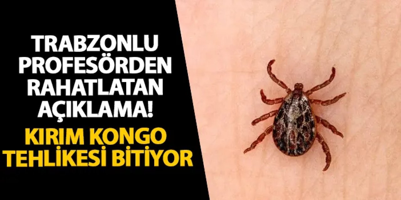 Trabzonlu profesörden rahatlatan açıklama! Kırım Kongo tehlikesi bitiyor