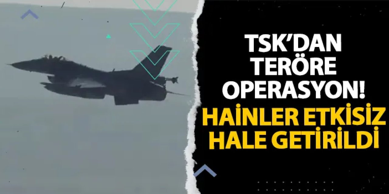 TSK’dan teröre operasyon! Hainler etkisiz hale getirildi