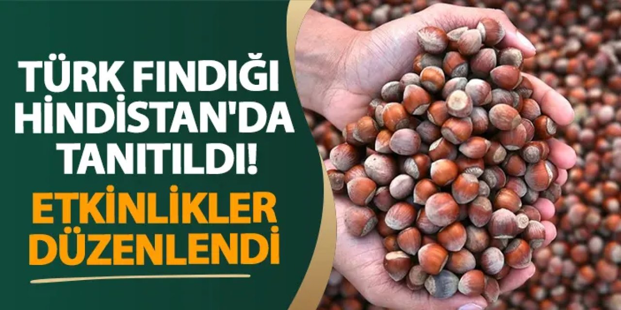 Türk fındığı Hindistan'da tanıtıldı! Etkinlikler düzenlendi