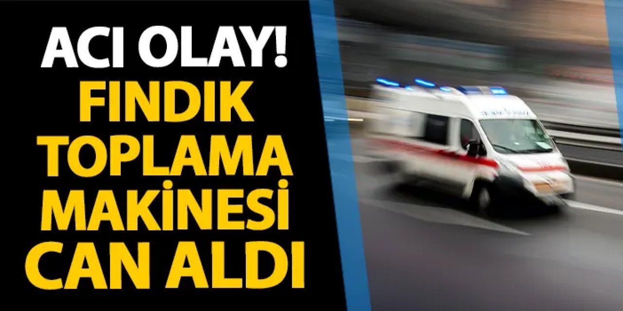 Samsun'da acı olay! Fındık toplama makinesi can aldı