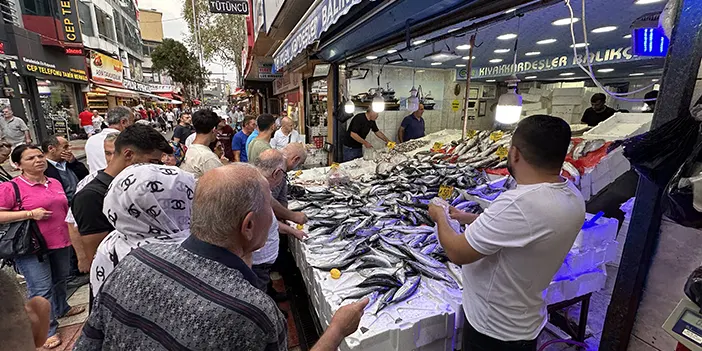 Karadeniz'de Palamudun bolluğu hamsiyi azalttı!