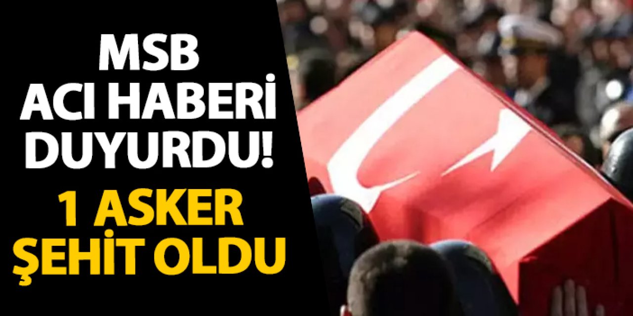 MSB acı haberi duyurdu! 1 asker şehit oldu