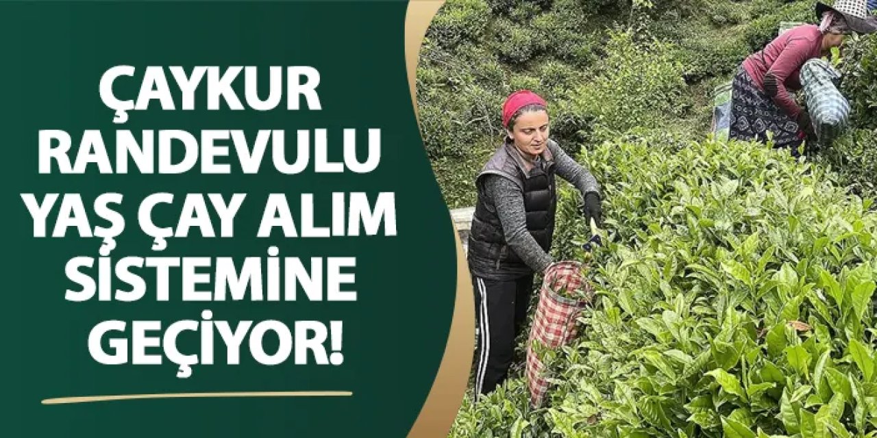 ÇAYKUR randevulu yaş çay alım sistemine geçiyor!