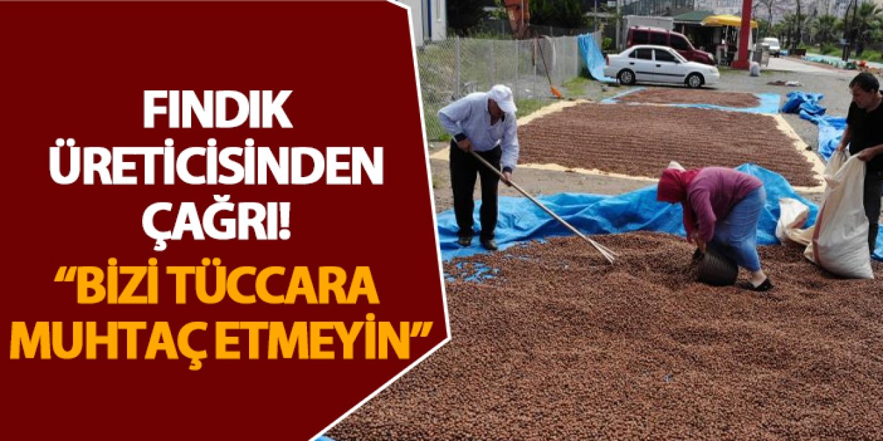 Giresun’da fındık üreticisinden çağrı! “Bizi tüccara muhtaç etmeyin”