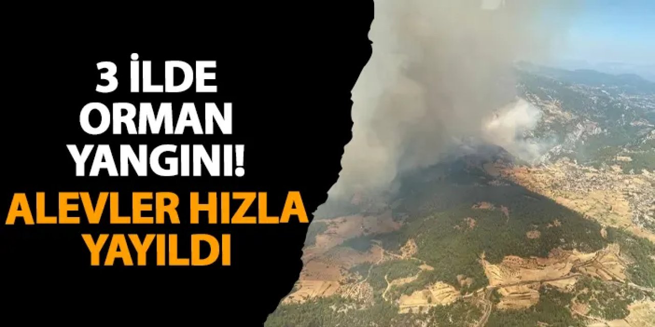 3 ilde orman yangını! Alevler hızla yayıldı