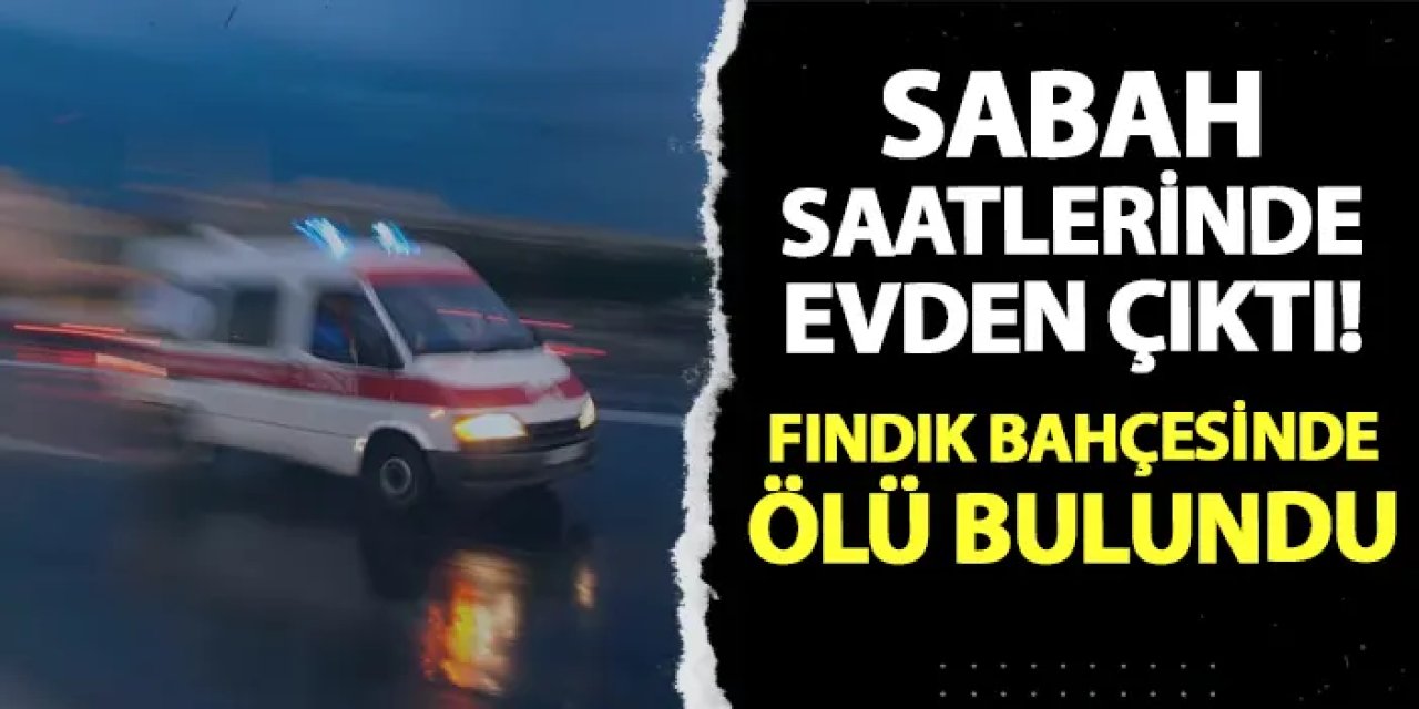 Giresun'da sabah saatlerinde evden çıktı! Fındık bahçesinde ölü bulundu