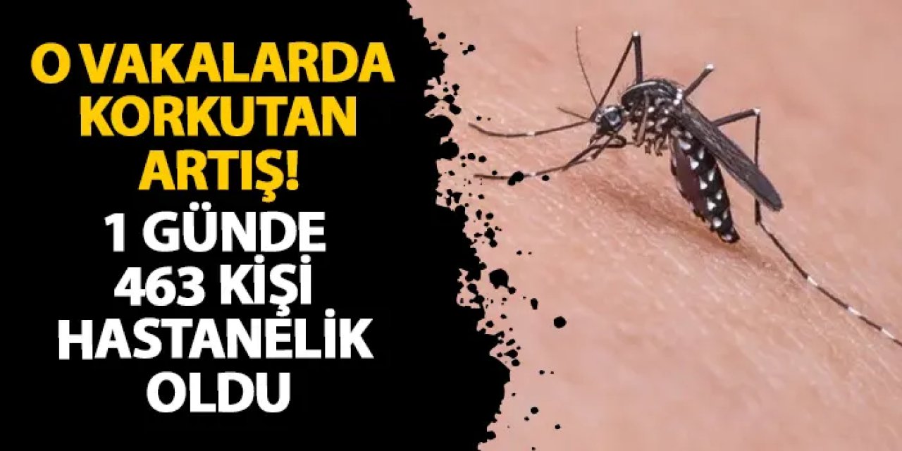 O vakalarda korkutan artış! 1 günde 463 kişi hastanelik oldu