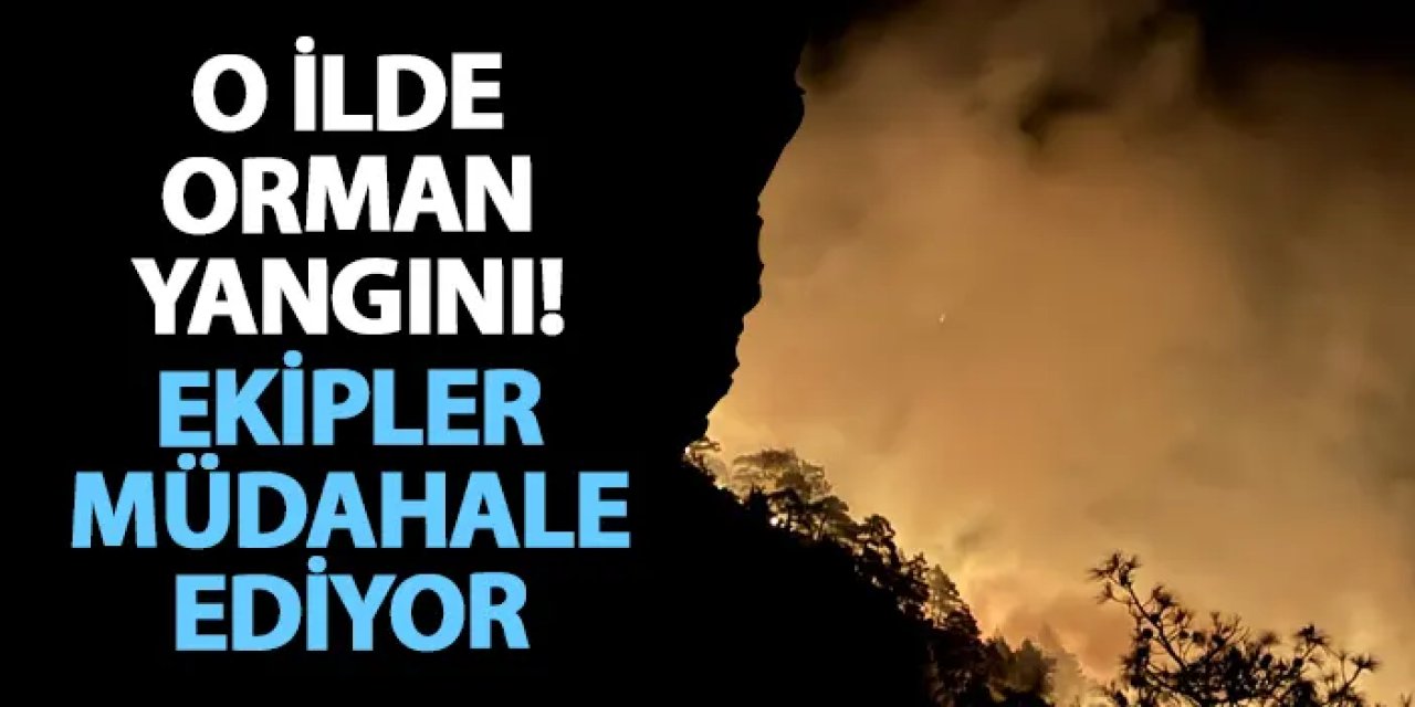 Hatay’da orman yangını! Ekipler müdahale ediyor