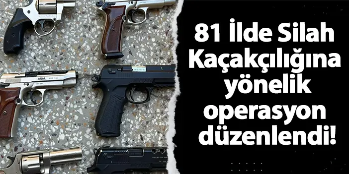 Emniyet güçlerinden 81 ilde operasyon; 2 bin 738 silah yakalandı!