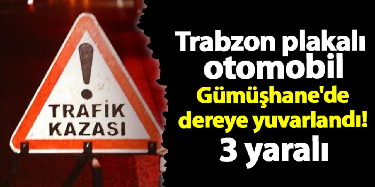 Trabzon plakalı otomobil Gümüşhane'de dereye yuvarlandı! 3 yaralı