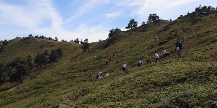 Gümüşhane 'de '2.Likarpa etkinliği' 30 sporcu hem tırmandı hem topladı!