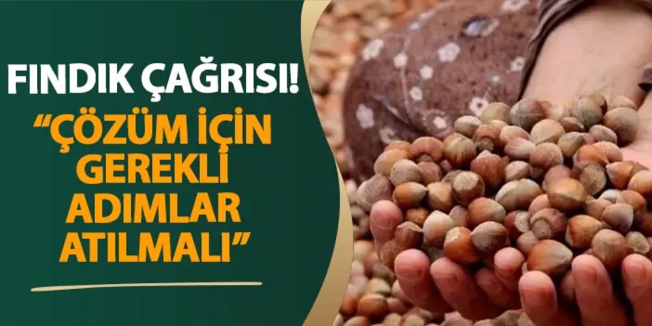 Samsun’dan fındık çağrısı! “Çözüm için gerekli adımlar atılmalı”