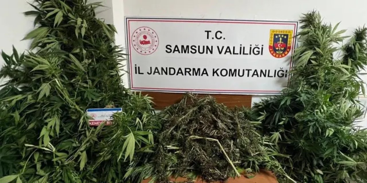 Samsun’dan jandarmadan uyuşturucu baskını! 7 kilo esrar ele geçti