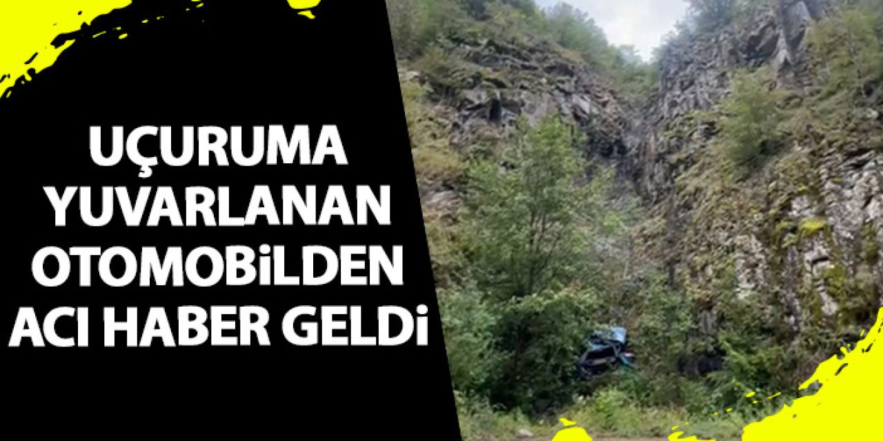 Artvin'de araç uçuruma yuvarlandı! Sürücü hayatını kaybetti