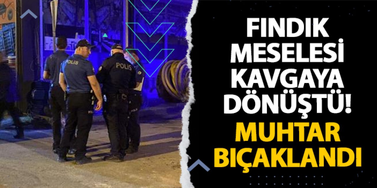 Ordu’da fındık meselesi kavgaya dönüştü! Muhtar bıçaklandı