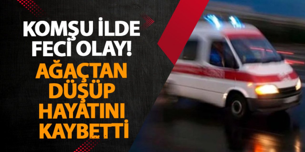 Giresun’da feci olay! Ağaçtan düşüp hayatını kaybetti