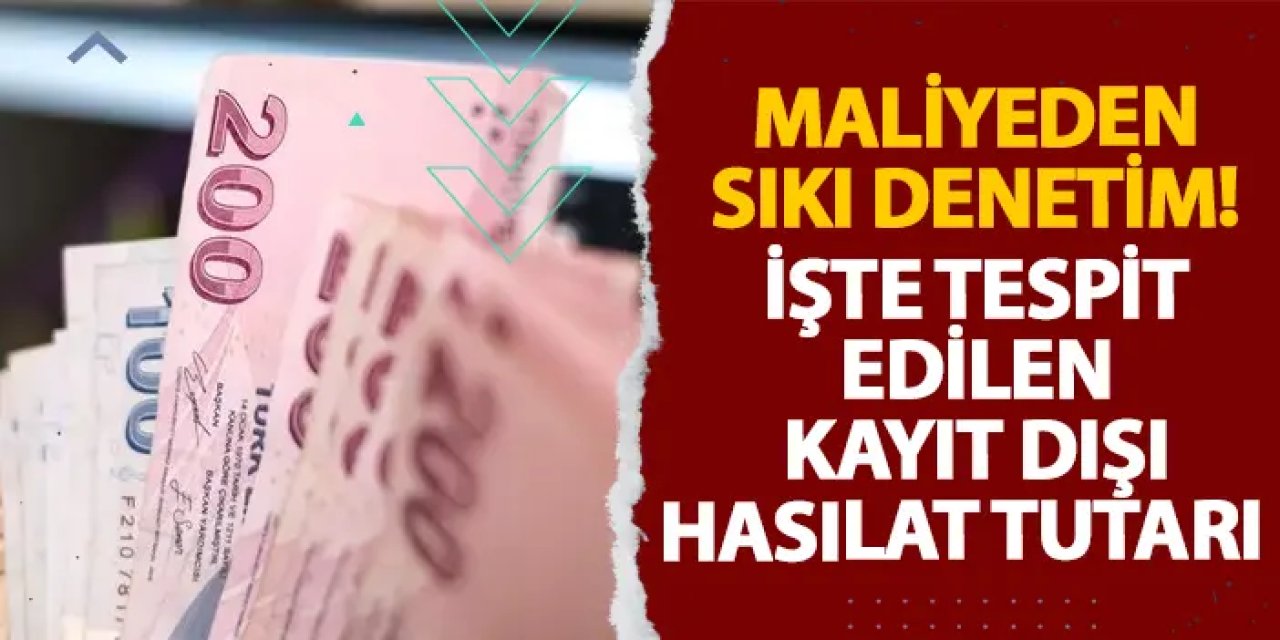 Maliyeden sıkı denetim! İşte tespit edilen kayıt dışı hasılat tutarı