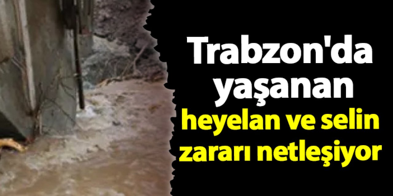 Trabzon'da yaşanan heyelan ve selin zararı netleşiyor