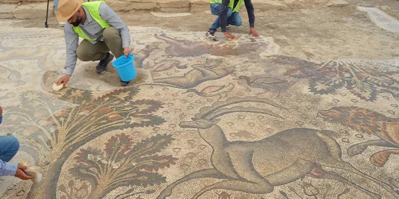 Elazığ'da fidan dikmek için çukur açtı! Ortaya çıkan manzara ile şaştı kaldı