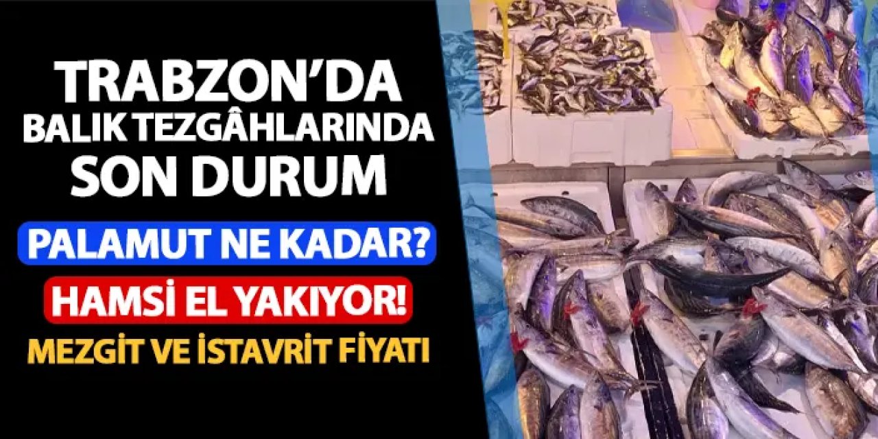 Trabzon'da palamut fiyatı ne kadar? Hamsi el yakıyor! İstavrit ve mezgit fiyatlarında son durum