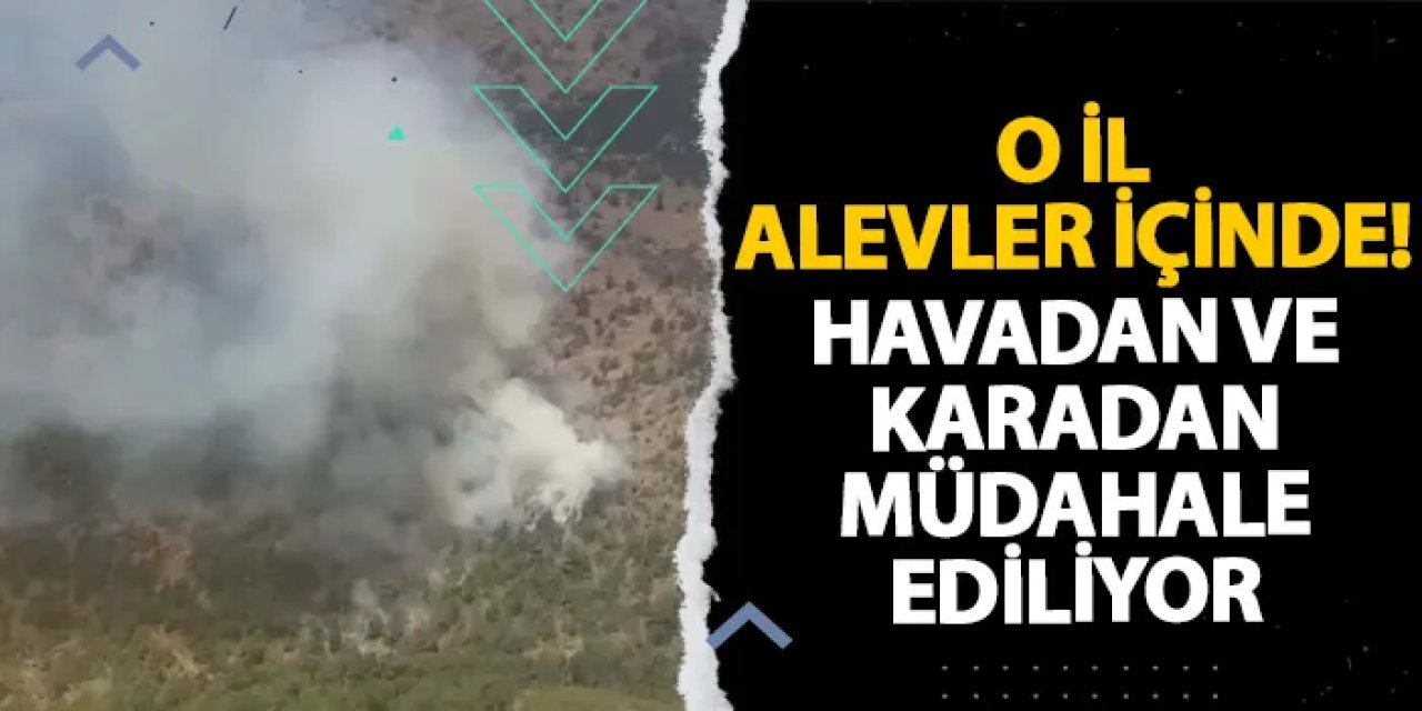 İzmir alevler içinde! Havadan ve karadan müdahale ediliyor