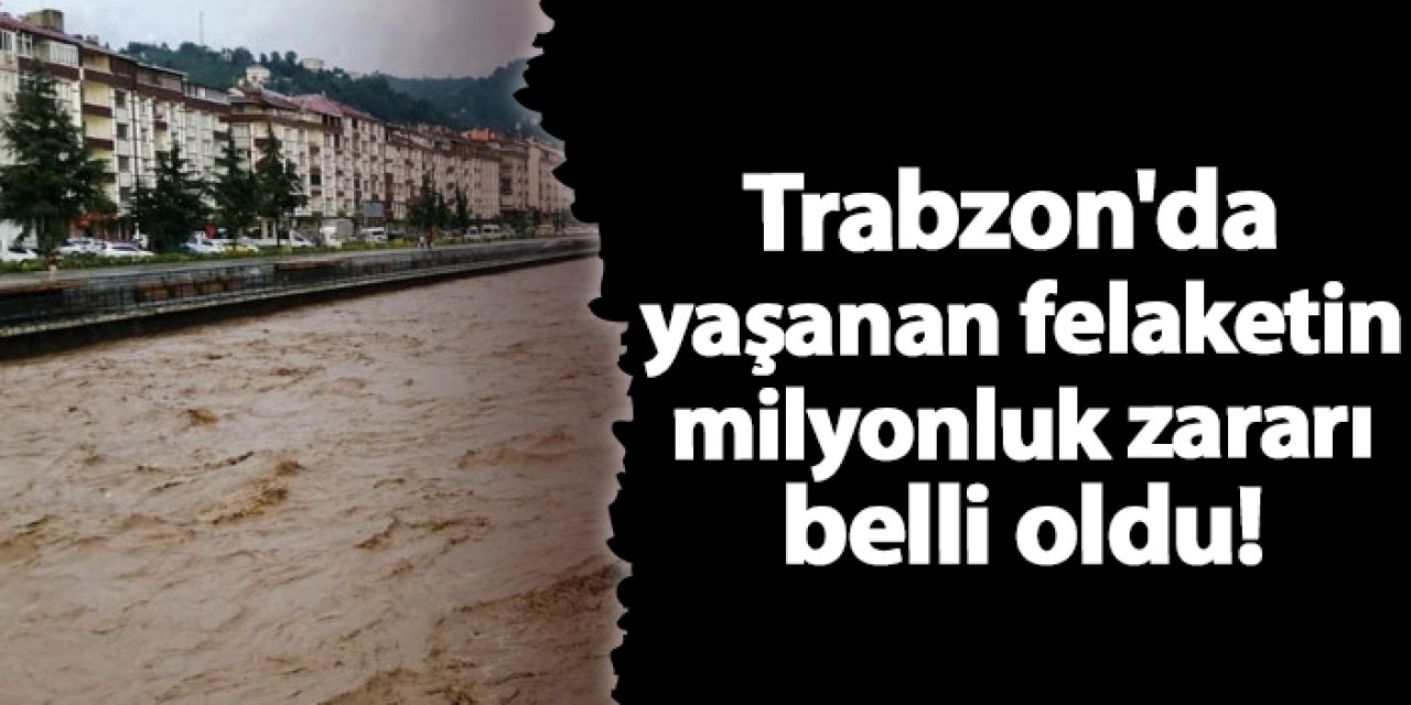 Trabzon'da yaşanan felaketin milyonluk zararı belli oldu!