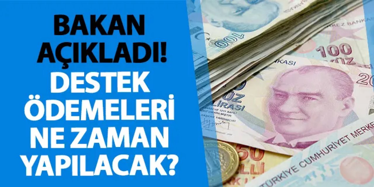 Bakan açıkladı! Destek ödemeleri ne zaman yapılacak?