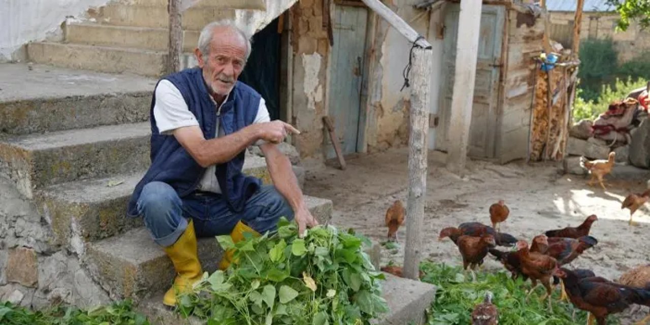 Bayburt’ta ayılar merkeze indi! Anne ayı bahçeyi yavru ayı kümesi talan etti